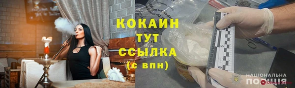 сатива Арсеньев