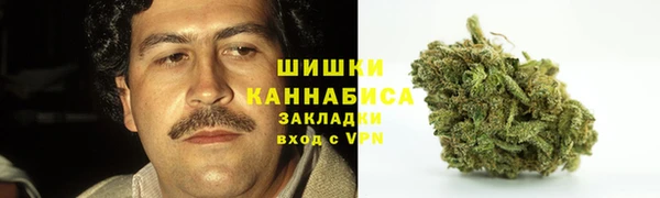 винт Аркадак