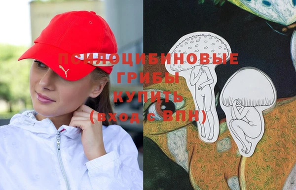 сатива Арсеньев