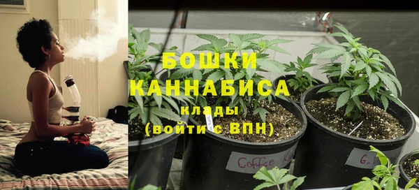 сатива Арсеньев